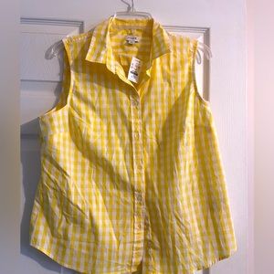 Cute Summer J crew sleeveless NWT